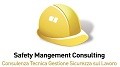 Safety Management Consulting